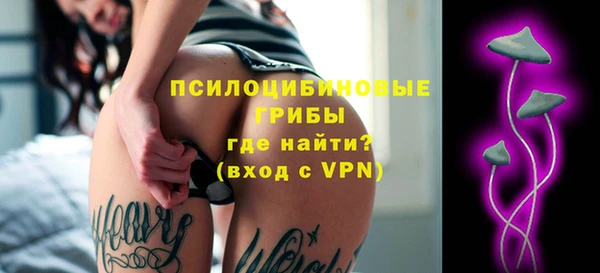 сатива Гусев
