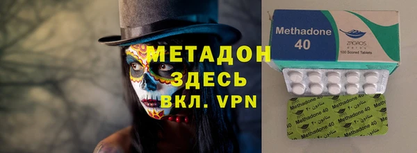 сатива Гусев