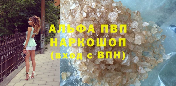 сатива Гусев