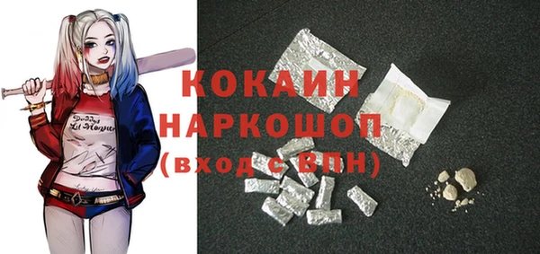 сатива Гусев