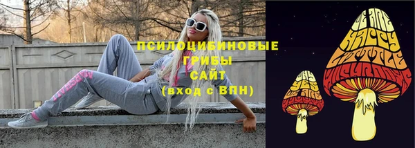 сатива Гусев
