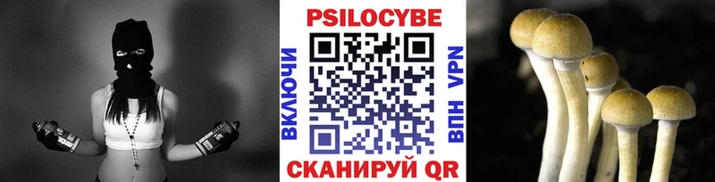 Псилоцибиновые грибы MAGIC MUSHROOMS  Купить  Кореновск 